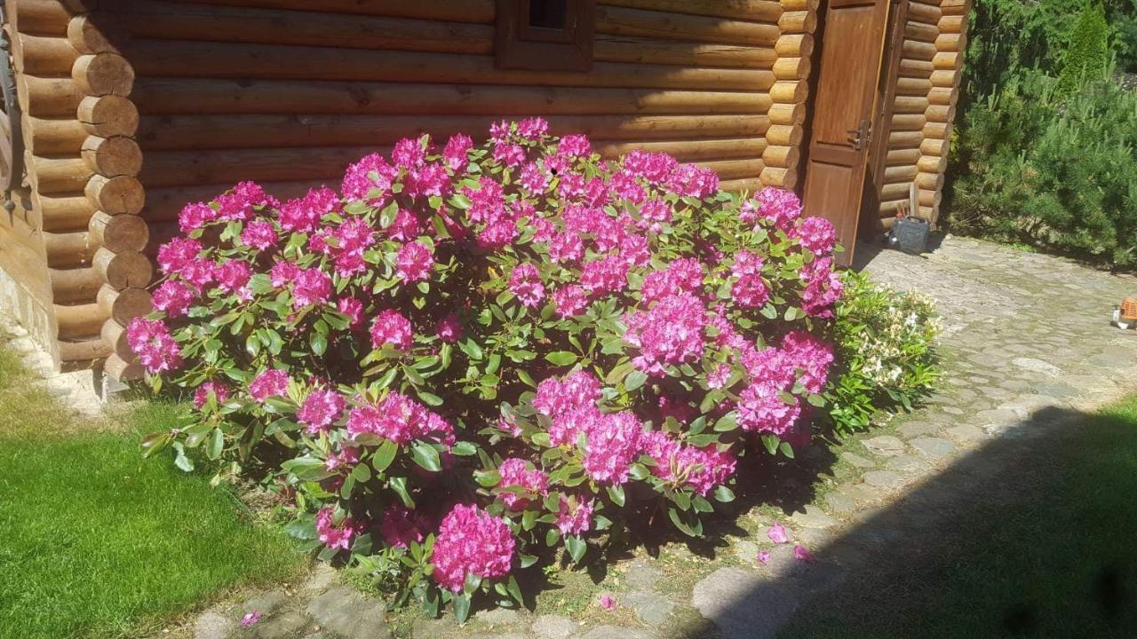 Sveciu Namelis Hotel Šiauliai Buitenkant foto